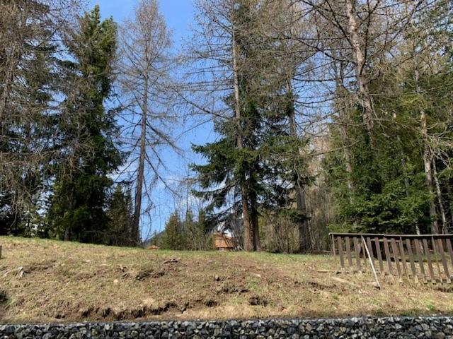Cozy Central Apartment At A Special Price! Crans-Montana Buitenkant foto
